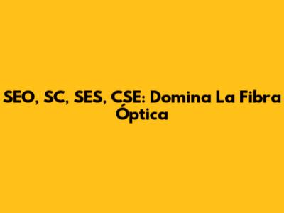 SEO, SC, SES, CSE: Domina La Fibra Óptica